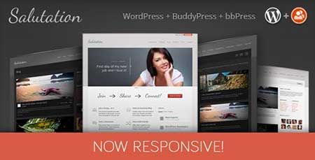 download-salutation-v3-0-12-themeforest-responsive-wordpress-buddypress-theme