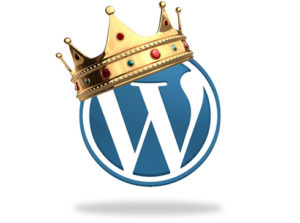 king-wordpress-300x223